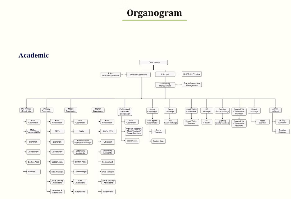 Organogram 1